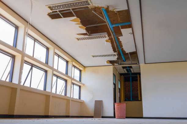 Best Flooded house restoration  in Perrysburg, OH