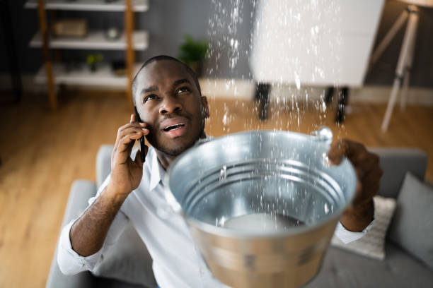 Best Flood damage cleanup  in Perrysburg, OH