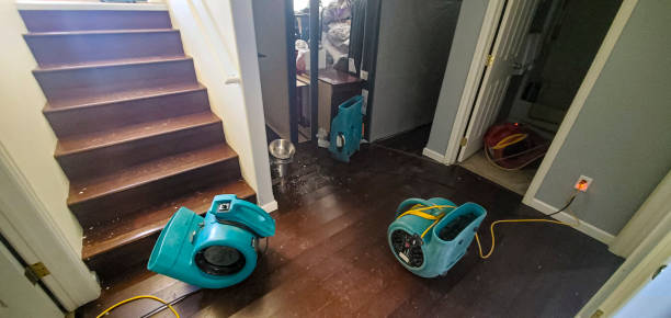 Best Local water damage restoration  in Perrysburg, OH