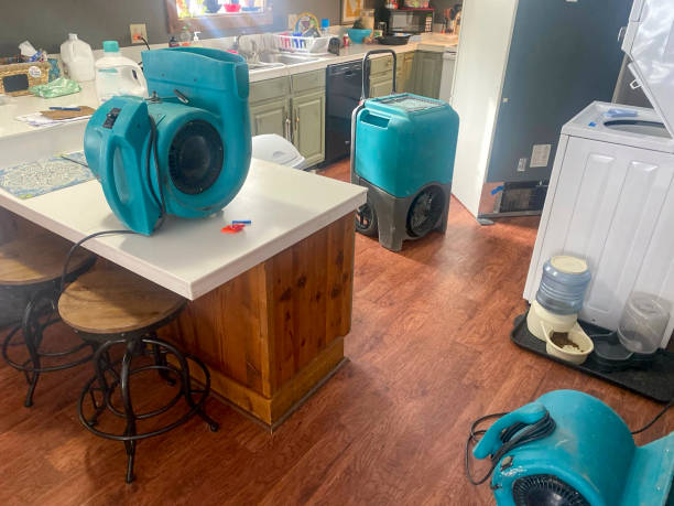  Perrysburg, OH Water damage restoration Pros