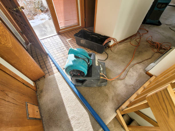 Best Fire Damage Restoration  in Perrysburg, OH