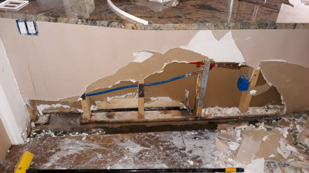 Best Sewage cleanup and water damage restoration  in Perrysburg, OH