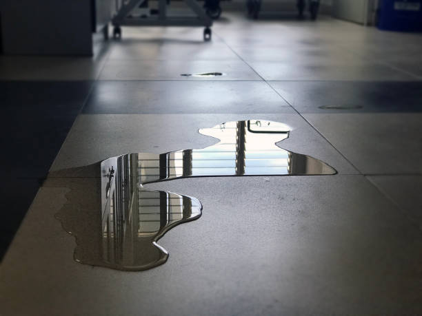 Best Emergency water damage restoration  in Perrysburg, OH