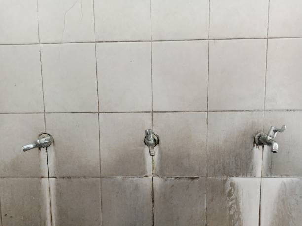 Reliable Perrysburg, OH Water damage restoration Solutions