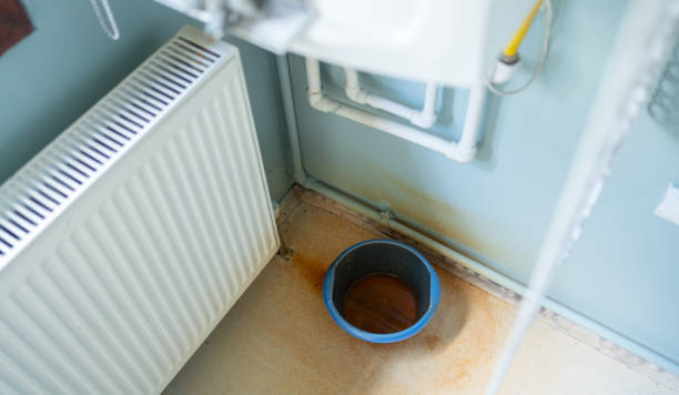Best Emergency water extraction  in Perrysburg, OH