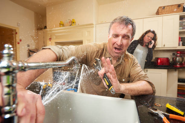 Best Professional water damage repair  in Perrysburg, OH